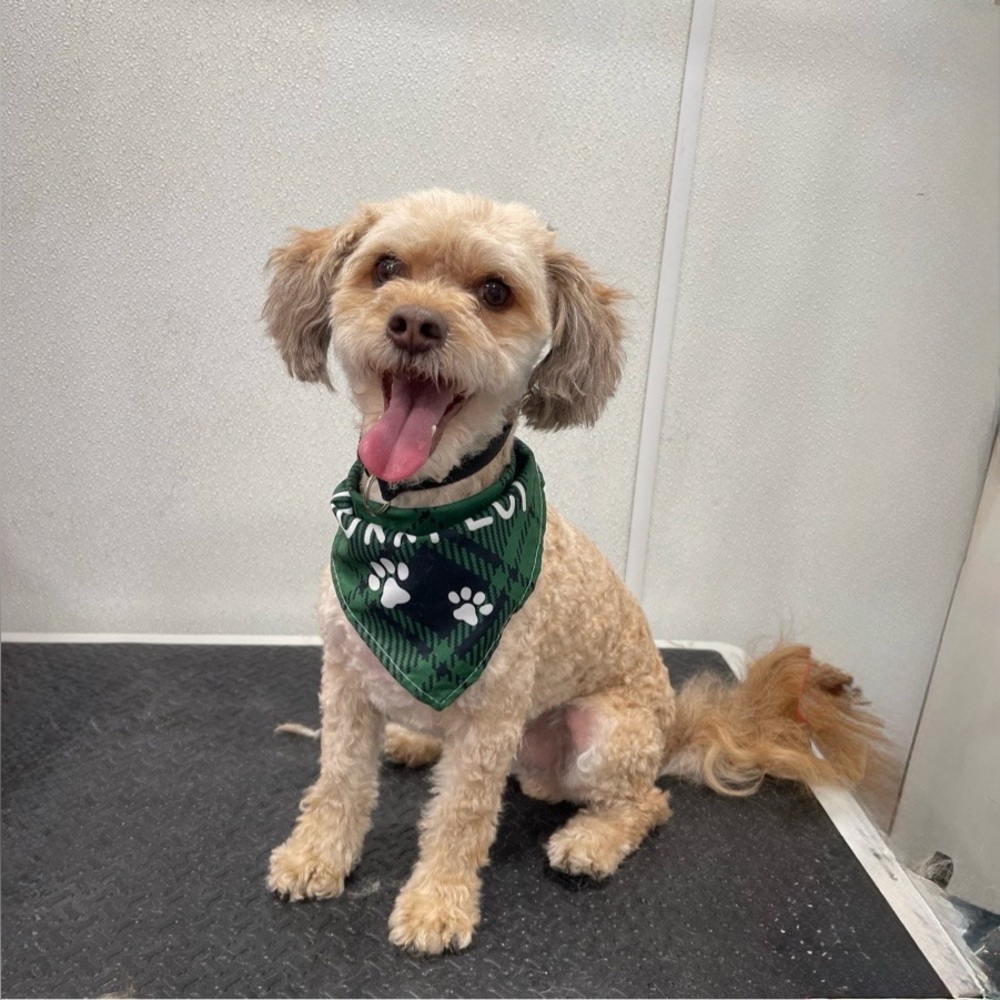 Meet your Posher, Kate.